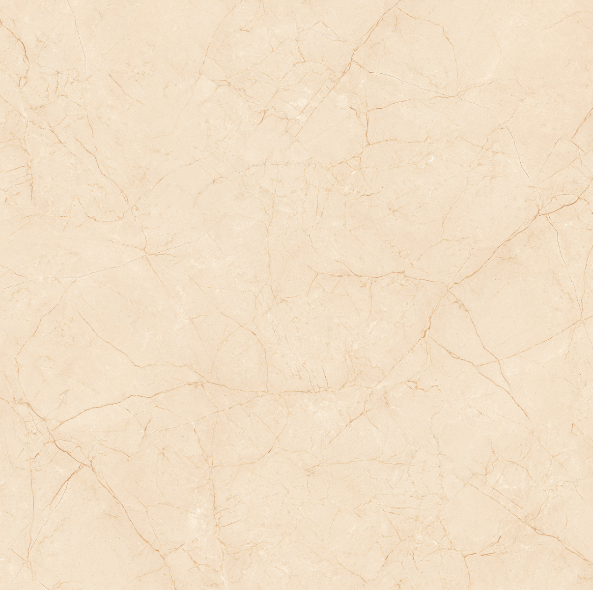 Gach-Lot-Nen,-Op-Tuong-Vitto-Ga101678,-Viet-Nam