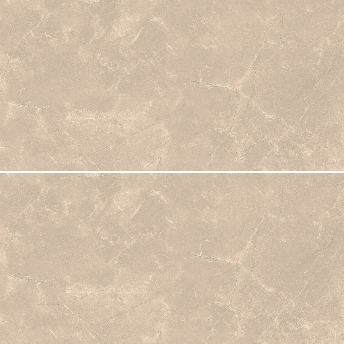 Gach-Lat-Nen,-Tuong-Vitto-Ga101791,-Viet-Nam
